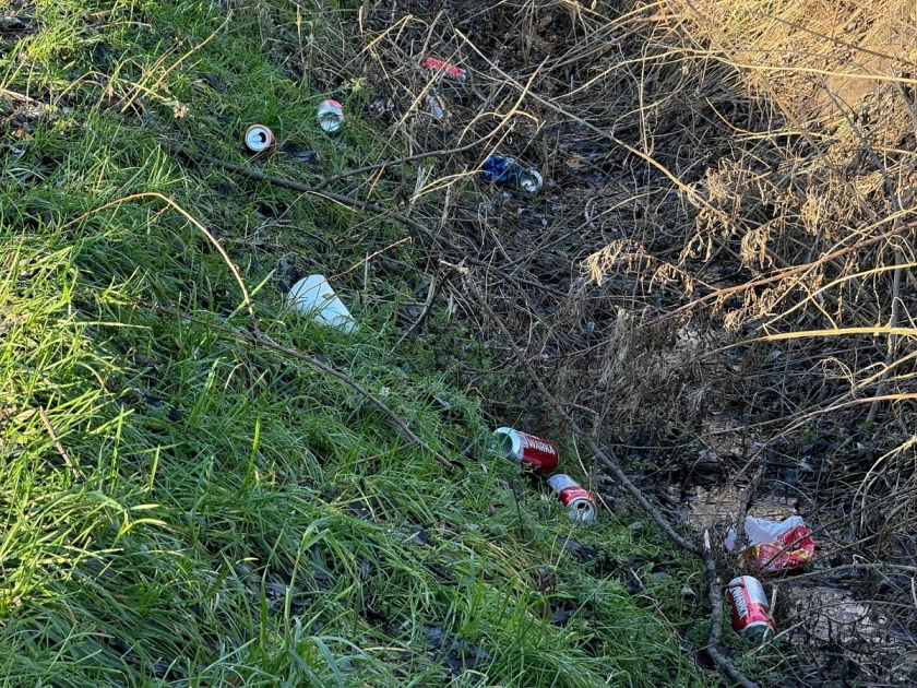 Śmieci przy drogach