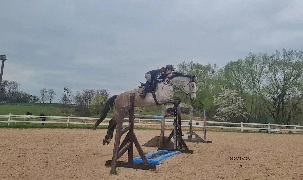 Przedświąteczny i świąteczny trening