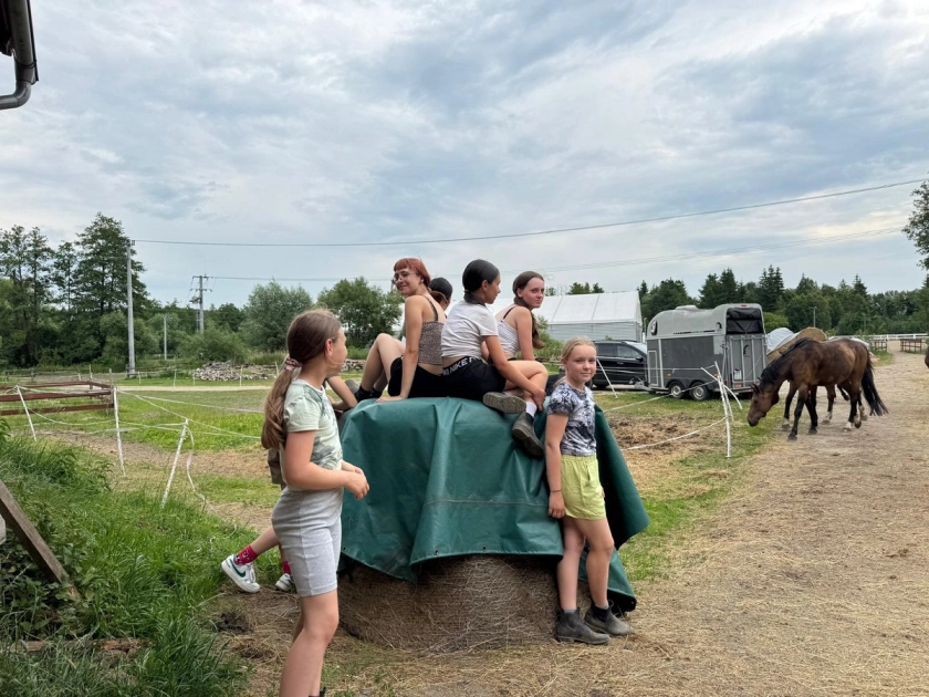Potrzebny pracownik do stajni
