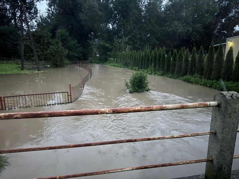 Elszka – powtórka z rozrywki