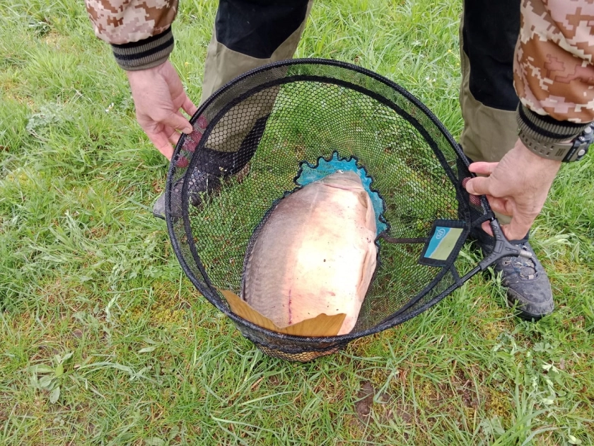 Ostatnie Grand Prix Zakrzewka II