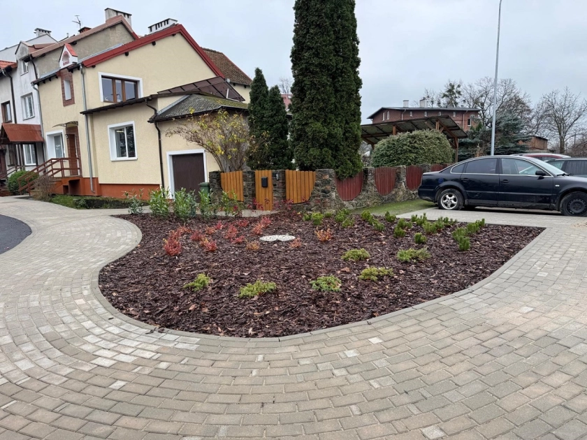 Pierwsze rośliny ozdobne posadzone