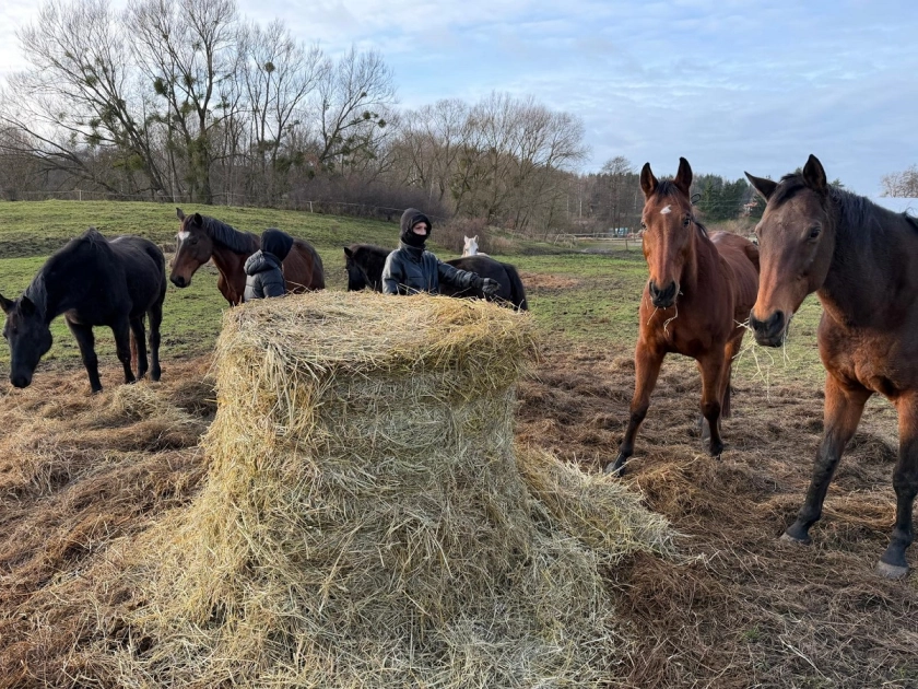 Rekreacja w święta 