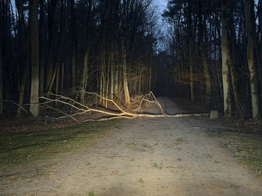 Powiało, teraz popada