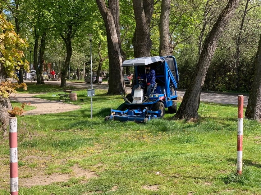 Przetarg na utrzymanie zieleni miejskiej