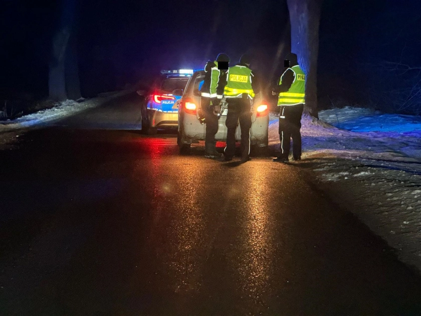Potrącił sarnę i odjechał
