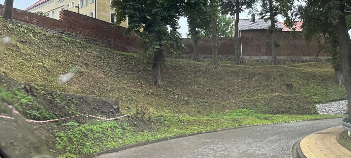 Cztery oferty na utrzymanie zieleni