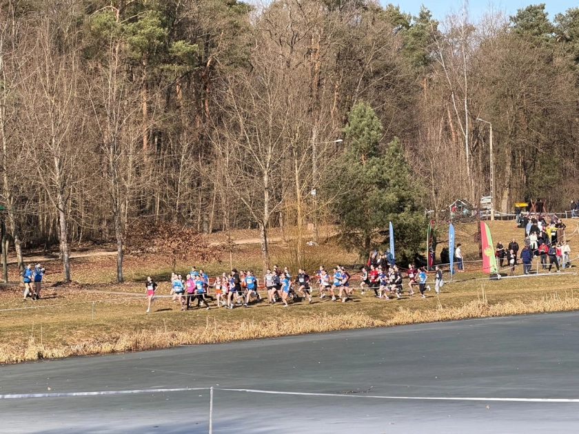 Mistrzostwa Wojew&oacute;dztwa WMZLA I LZS U12, U14, U16 w Biegach Przełajowych 