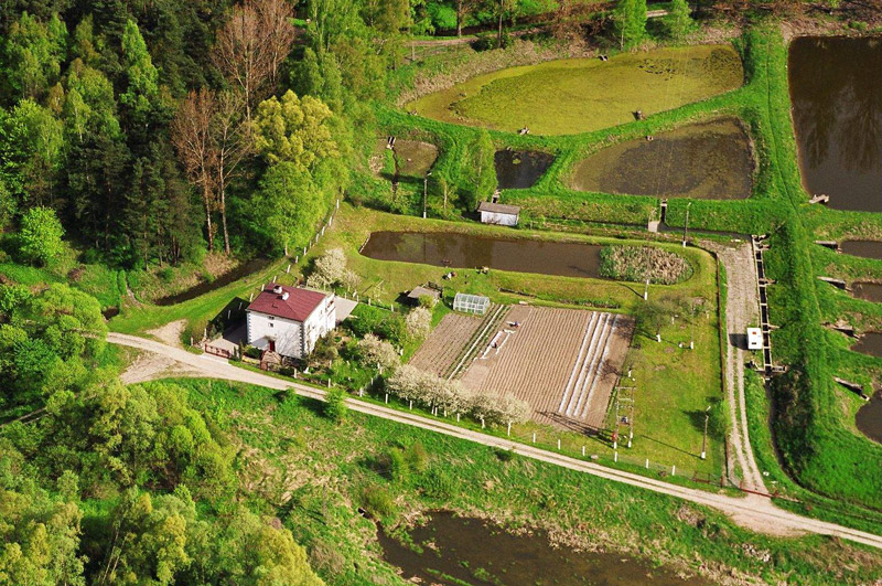 Pasłęk z lotu ptaka