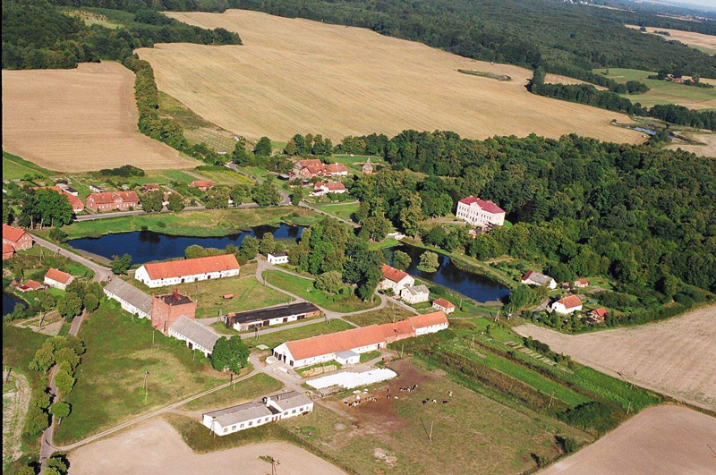 Pasłęk z lotu ptaka