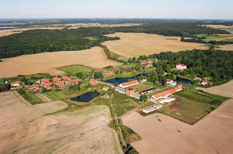 Pasłęk z lotu ptaka