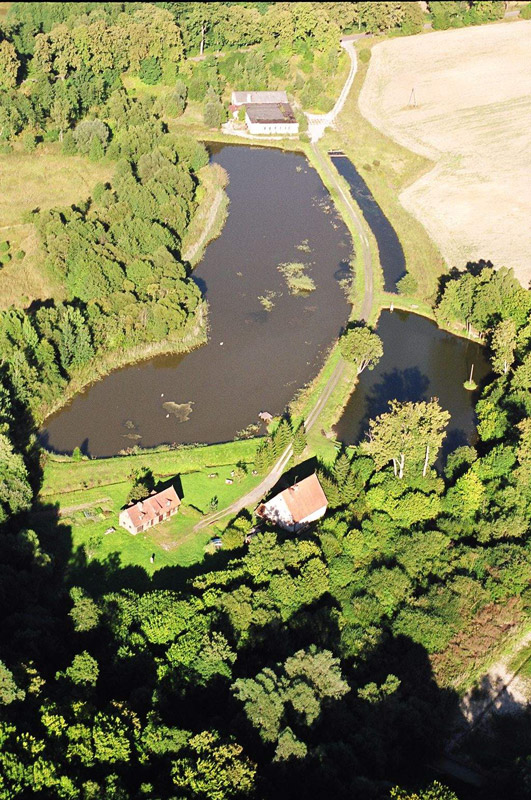 Pasłęk z lotu ptaka