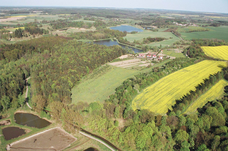 Pasłęk z lotu ptaka