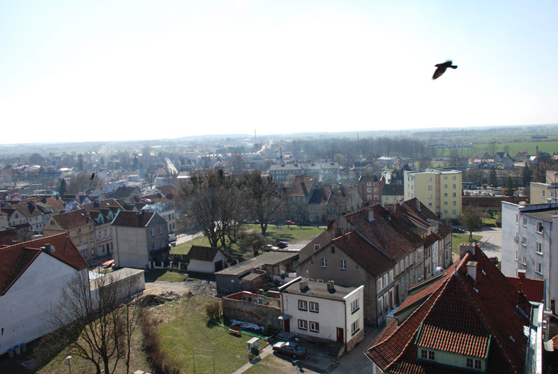 Pasłęk z lotu ptaka