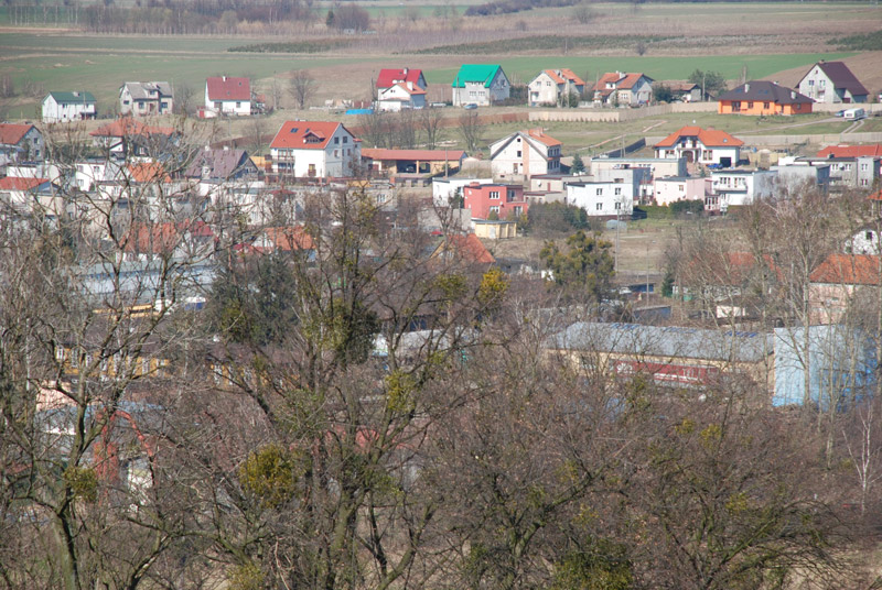 Pasłęk z lotu ptaka