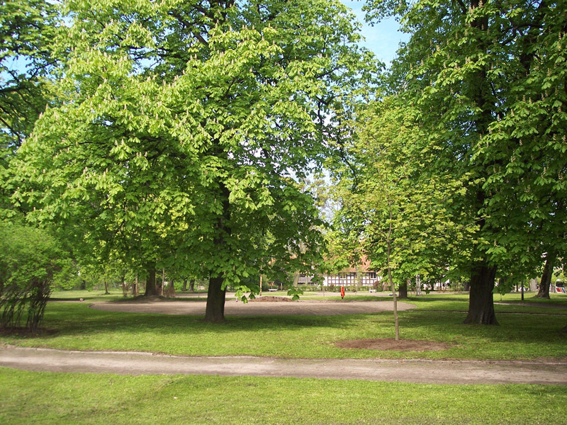 Miasto i Gmina Pasłęk wczoraj i dziś