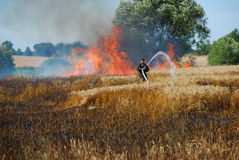 Miasto i Gmina Pasłęk wczoraj i dziś