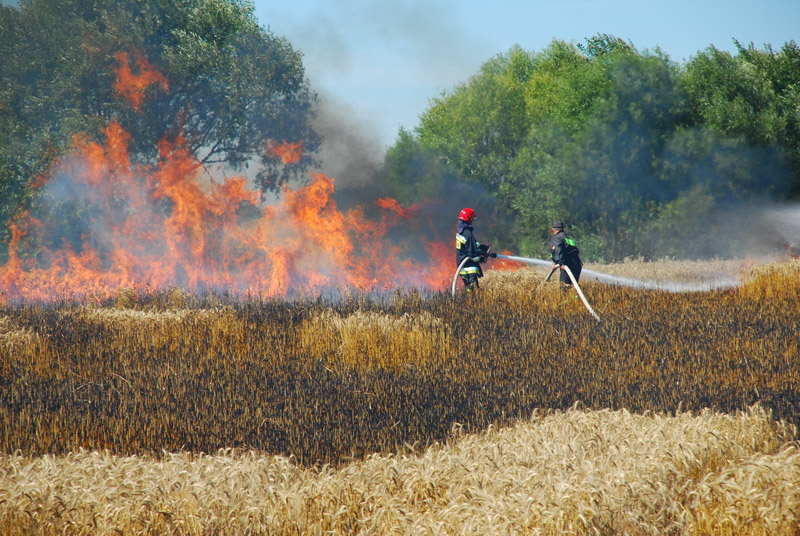 Miasto i Gmina Pasłęk wczoraj i dziś
