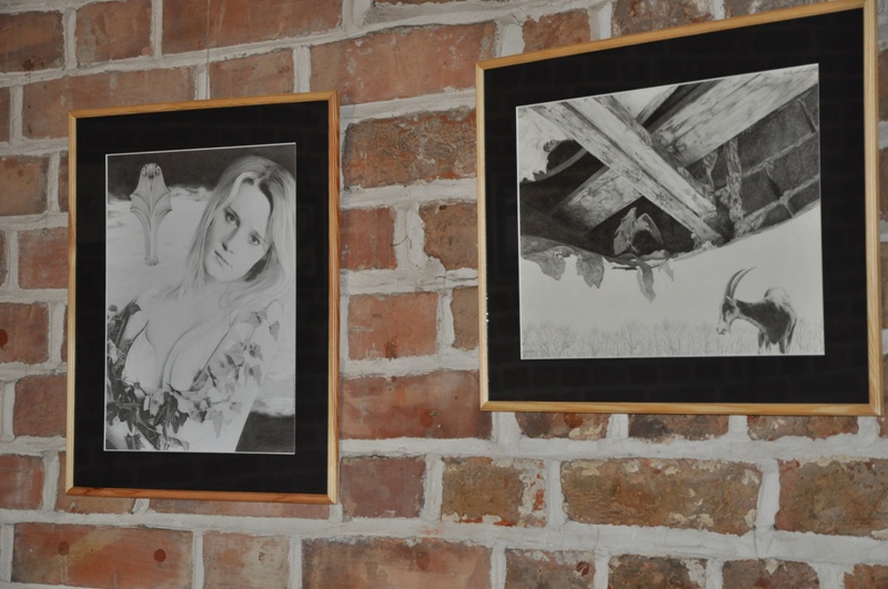 Rysunek i karykatura