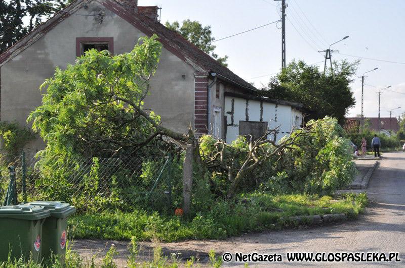 Porządek i bezpieczeństwo publiczne