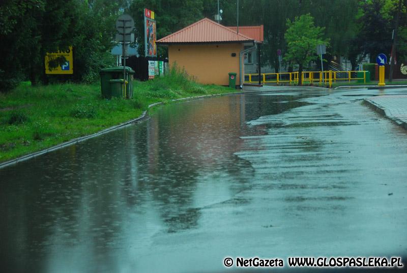 Porządek i bezpieczeństwo publiczne
