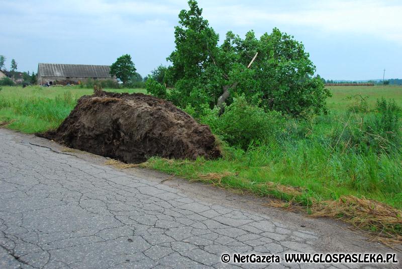 Porządek i bezpieczeństwo publiczne