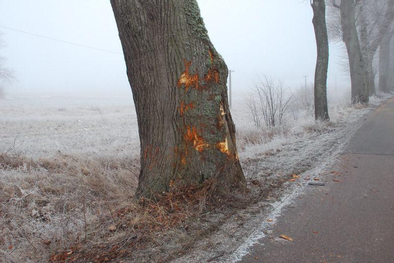 Tragiczne wydarzenia