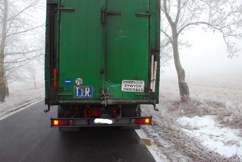 Tragiczne wydarzenia