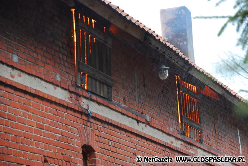 Tragiczne wydarzenia