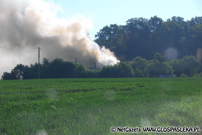 Tragiczne wydarzenia