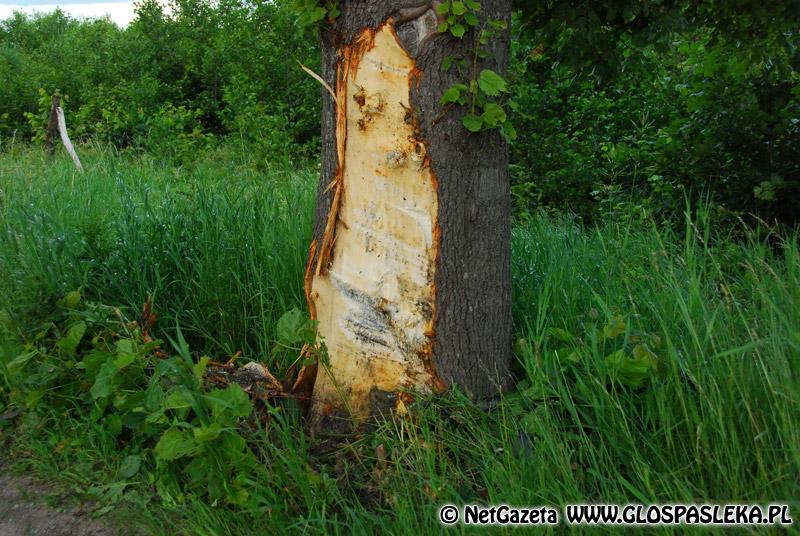 Tragiczne wydarzenia