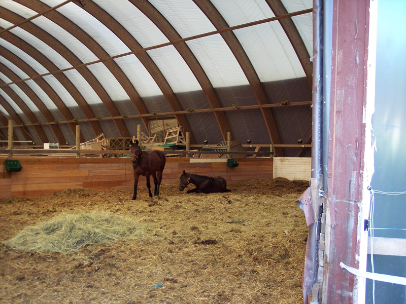 Pole golfowe Sand Valley