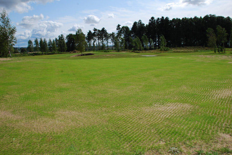Pole golfowe Sand Valley