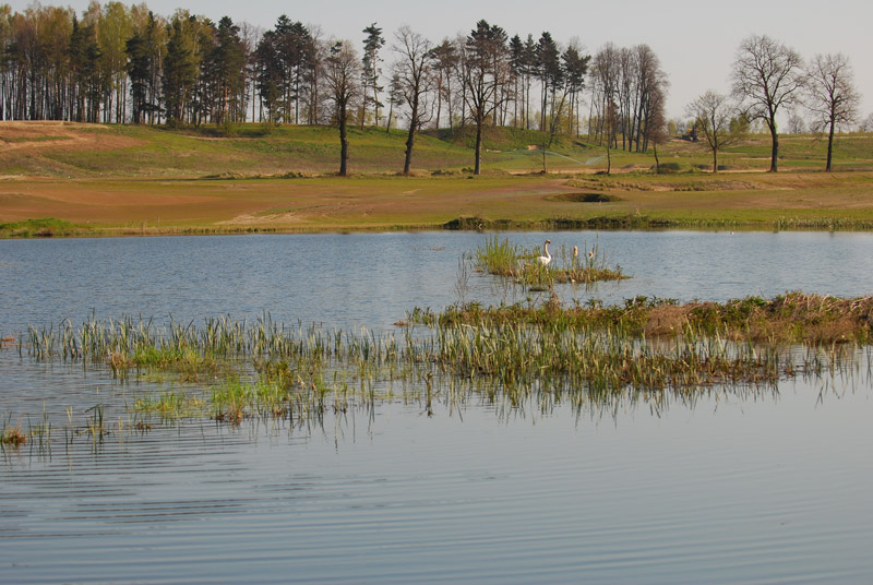 Pole golfowe Sand Valley