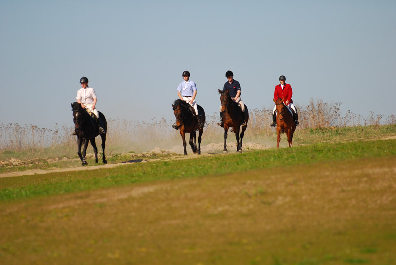 Pole golfowe Sand Valley