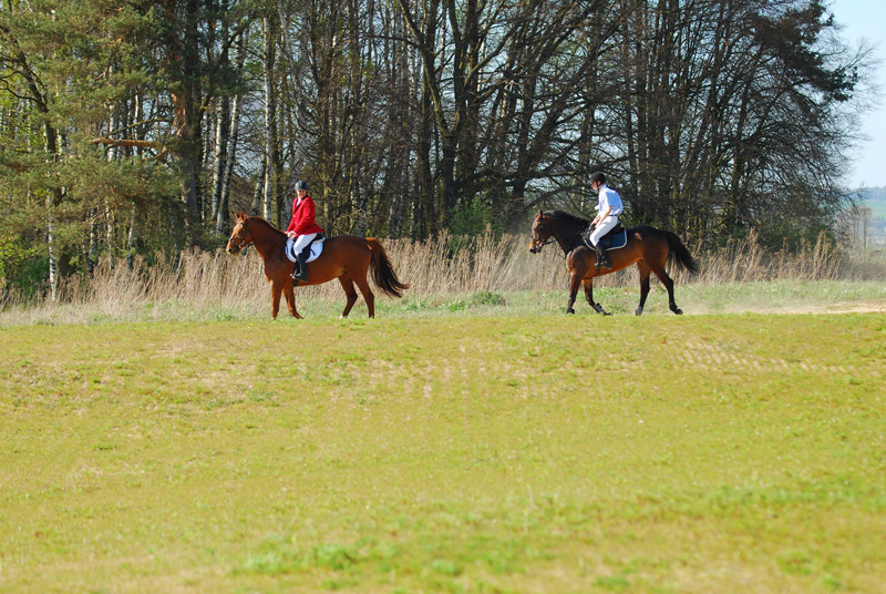 Pole golfowe Sand Valley