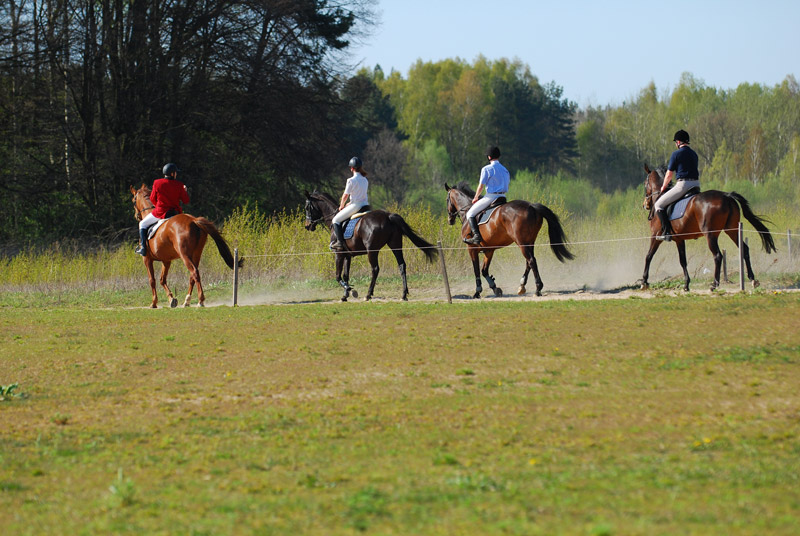 Pole golfowe Sand Valley