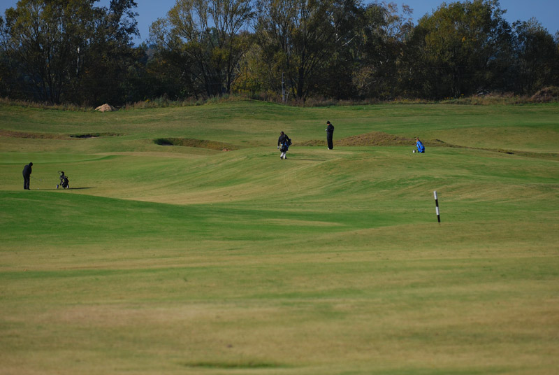 Pole golfowe Sand Valley