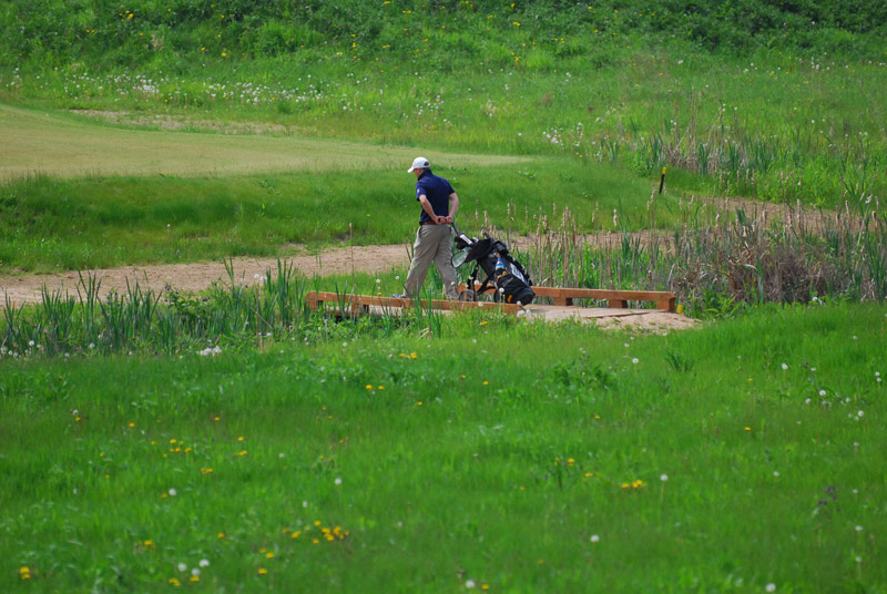 Pole golfowe Sand Valley