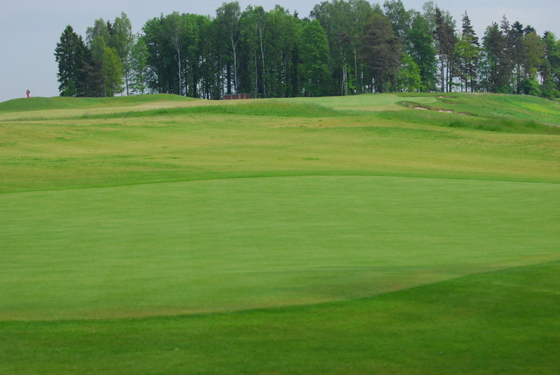 Pole golfowe Sand Valley