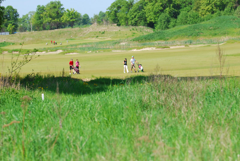 Pole golfowe Sand Valley
