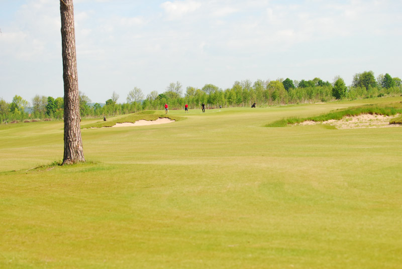 Pole golfowe Sand Valley