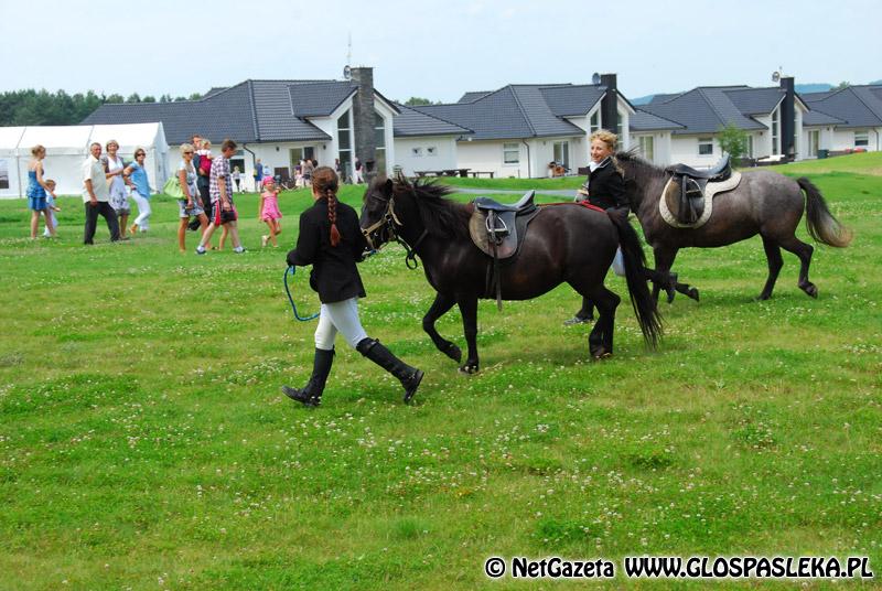 Pole golfowe Sand Valley