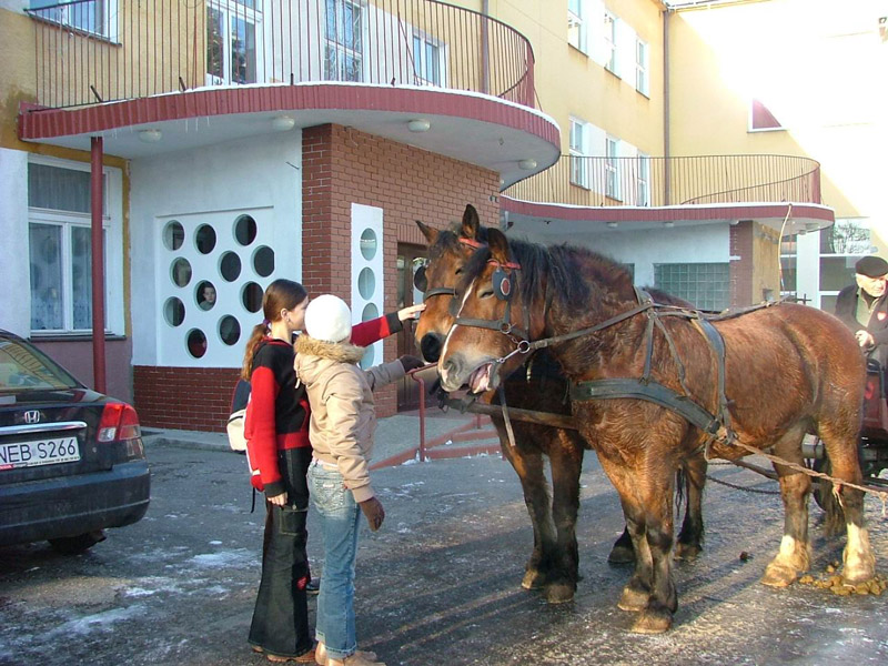 Wielka Orkiestra Świątecznej Pomocy