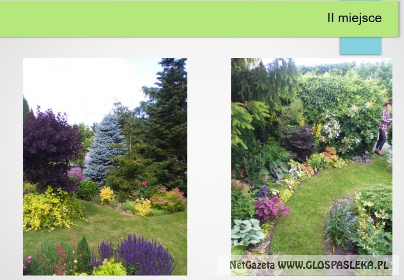 Naładniejsze posesje 2017