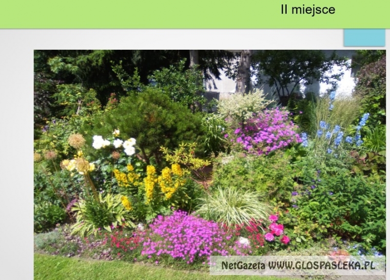 Naładniejsze posesje 2017