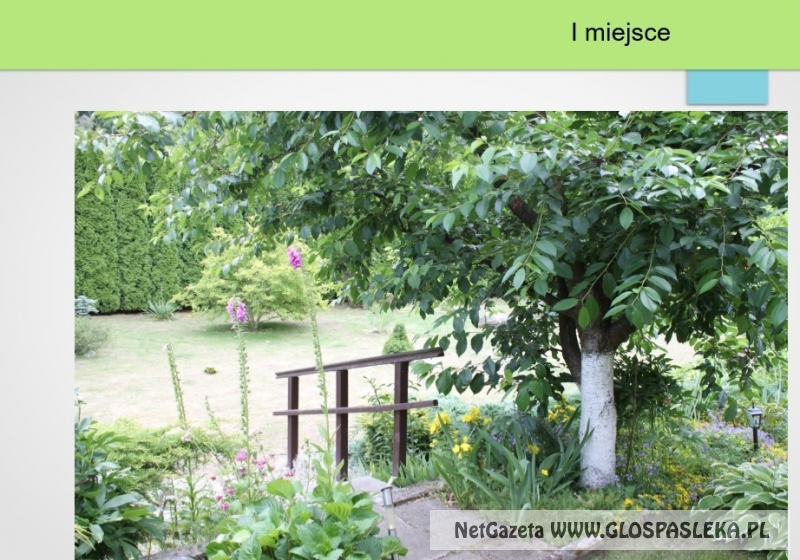 Naładniejsze posesje 2017