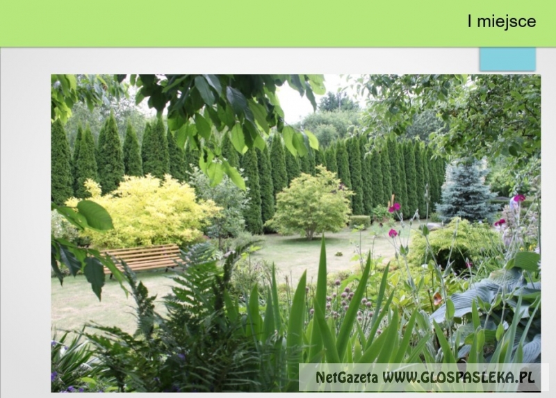 Naładniejsze posesje 2017