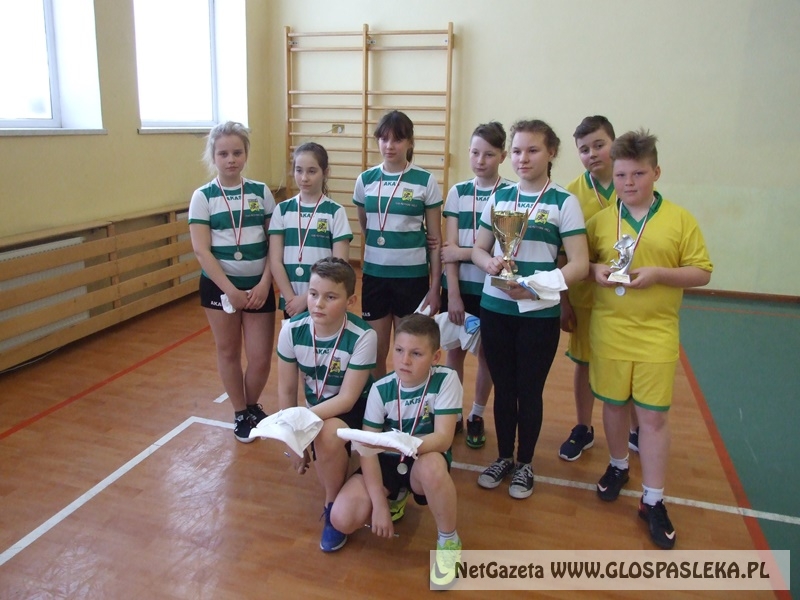 siatkówka w gimnazjum 