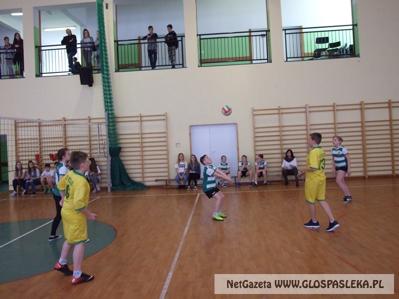 siatkówka w gimnazjum 